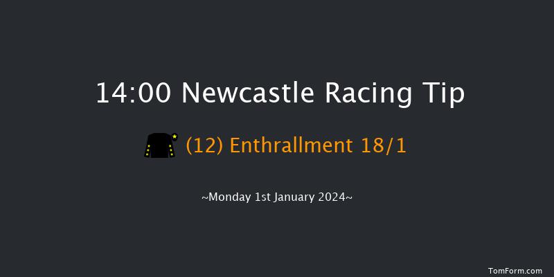 Newcastle 14:00 Handicap (Class 2) 16f Thu 28th Dec 2023