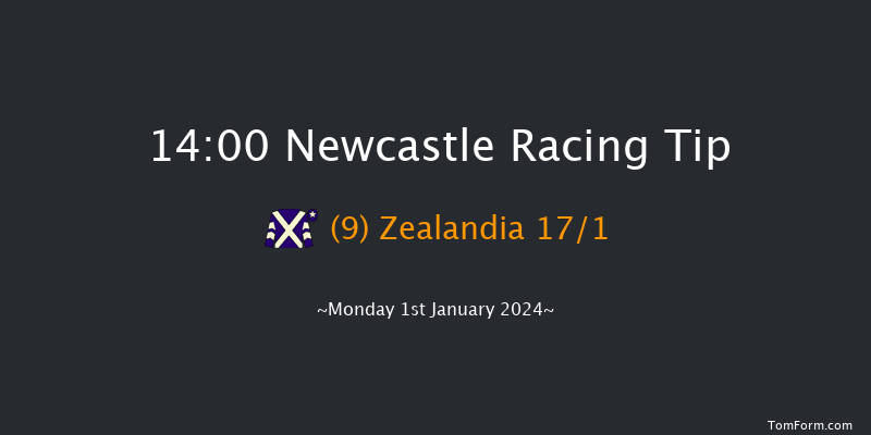 Newcastle 14:00 Handicap (Class 2) 16f Thu 28th Dec 2023