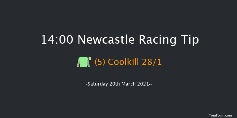 QuinnBet Novices' Hurdle (GBB Race) Newcastle 14:00 Novices Hurdle (Class 4) 16f Tue 16th Mar 2021