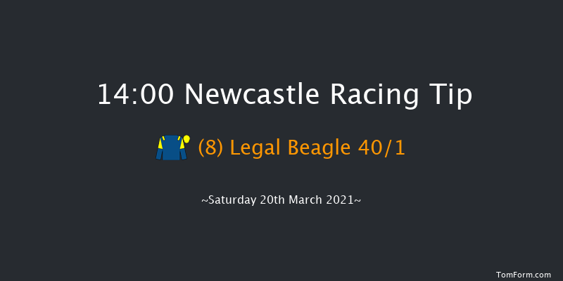 QuinnBet Novices' Hurdle (GBB Race) Newcastle 14:00 Novices Hurdle (Class 4) 16f Tue 16th Mar 2021