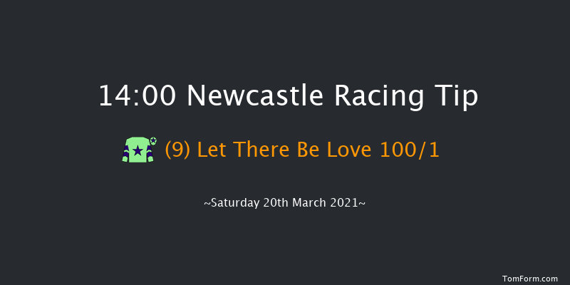 QuinnBet Novices' Hurdle (GBB Race) Newcastle 14:00 Novices Hurdle (Class 4) 16f Tue 16th Mar 2021