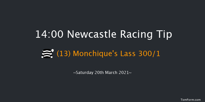 QuinnBet Novices' Hurdle (GBB Race) Newcastle 14:00 Novices Hurdle (Class 4) 16f Tue 16th Mar 2021