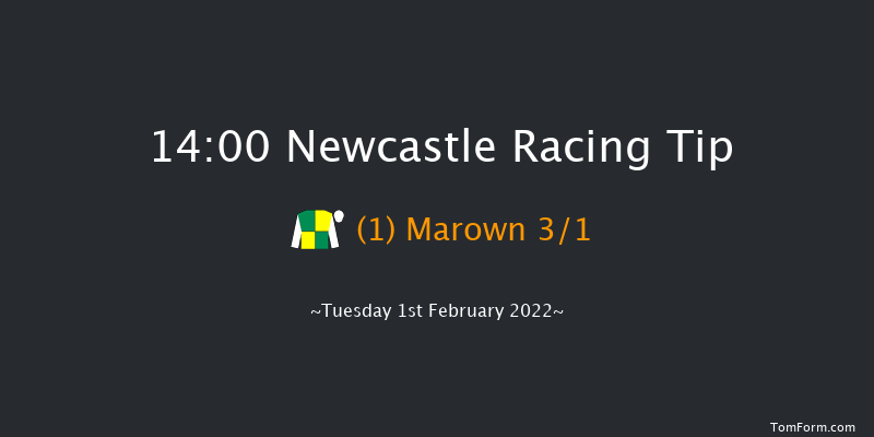 Newcastle 14:00 Handicap Chase (Class 3) 23f Thu 27th Jan 2022