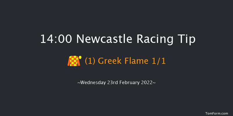 Newcastle 14:00 Stakes (Class 5) 10f Mon 21st Feb 2022