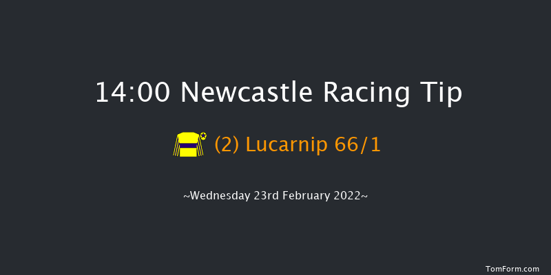 Newcastle 14:00 Stakes (Class 5) 10f Mon 21st Feb 2022