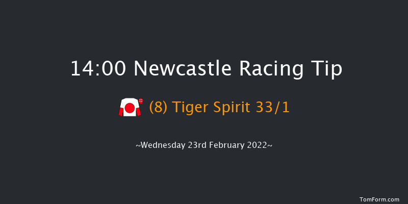 Newcastle 14:00 Stakes (Class 5) 10f Mon 21st Feb 2022