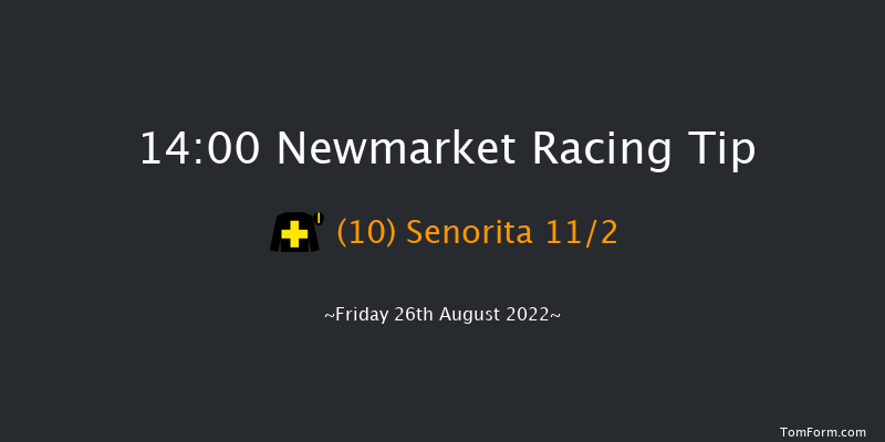 Newmarket 14:00 Handicap (Class 5) 7f Sat 13th Aug 2022