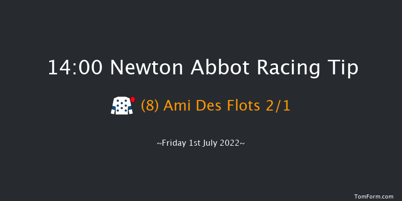 Newton Abbot 14:00 Maiden Hurdle (Class 4) 22f Tue 21st Jun 2022