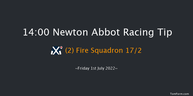 Newton Abbot 14:00 Maiden Hurdle (Class 4) 22f Tue 21st Jun 2022