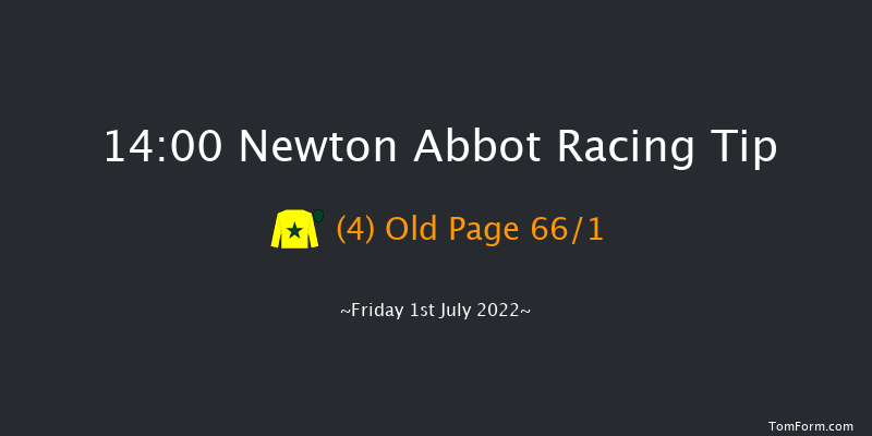 Newton Abbot 14:00 Maiden Hurdle (Class 4) 22f Tue 21st Jun 2022