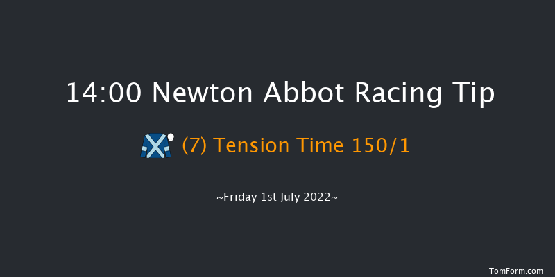 Newton Abbot 14:00 Maiden Hurdle (Class 4) 22f Tue 21st Jun 2022