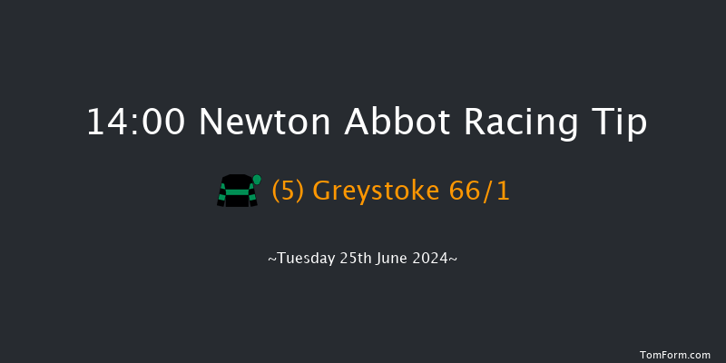 Newton Abbot  14:00 Handicap Hurdle (Class
5) 17f Fri 14th Jun 2024