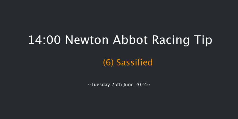 Newton Abbot  14:00 Handicap Hurdle (Class
5) 17f Fri 14th Jun 2024