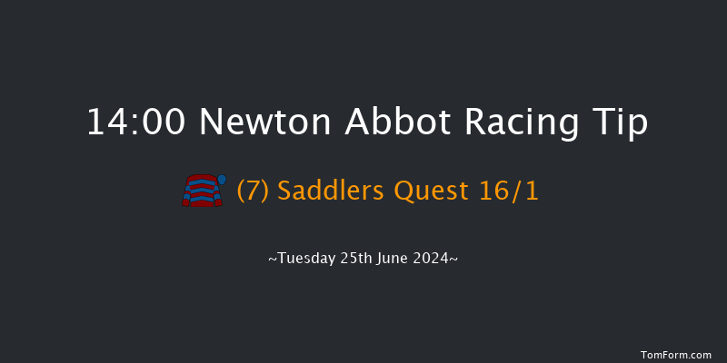 Newton Abbot  14:00 Handicap Hurdle (Class
5) 17f Fri 14th Jun 2024