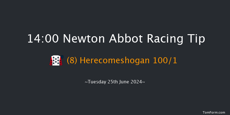 Newton Abbot  14:00 Handicap Hurdle (Class
5) 17f Fri 14th Jun 2024