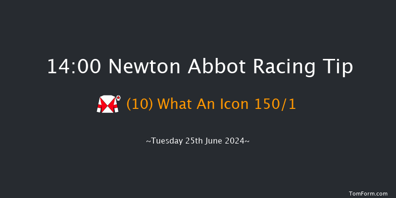 Newton Abbot  14:00 Handicap Hurdle (Class
5) 17f Fri 14th Jun 2024