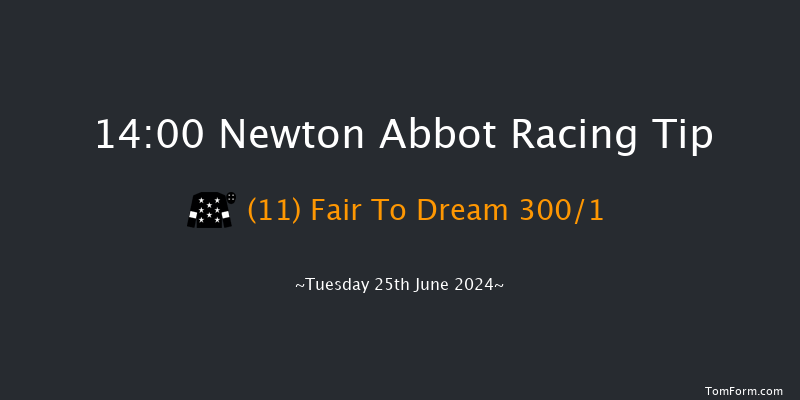 Newton Abbot  14:00 Handicap Hurdle (Class
5) 17f Fri 14th Jun 2024