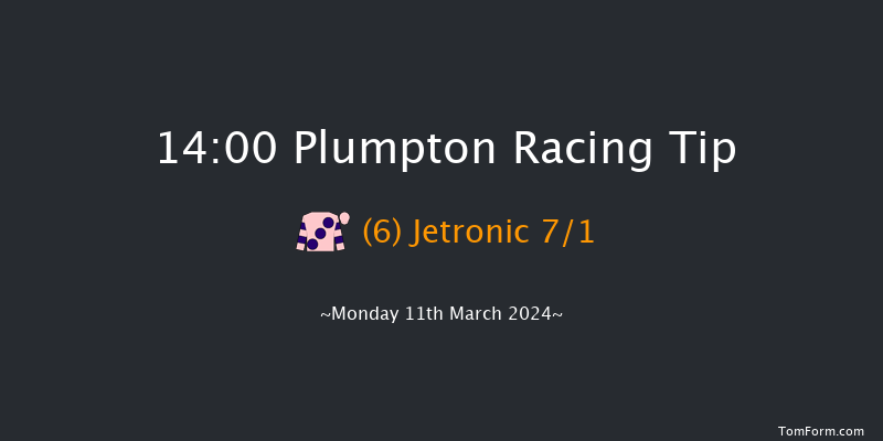 Plumpton  14:00 Novices Hurdle (Class 4)
20f Mon 4th Mar 2024