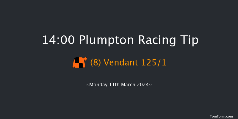 Plumpton  14:00 Novices Hurdle (Class 4)
20f Mon 4th Mar 2024