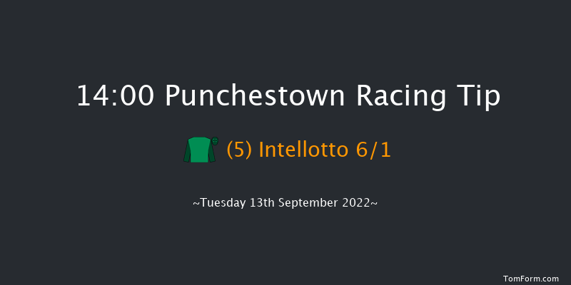 Punchestown 14:00 Maiden 8f Sun 29th May 2022