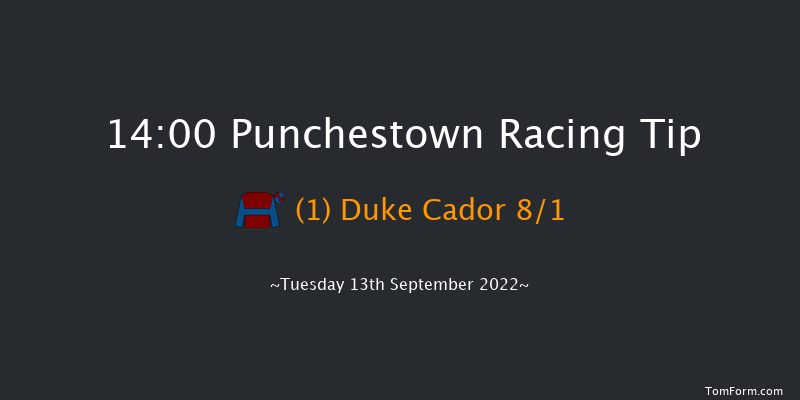 Punchestown 14:00 Maiden 8f Sun 29th May 2022