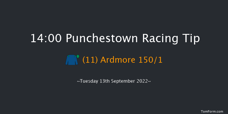 Punchestown 14:00 Maiden 8f Sun 29th May 2022