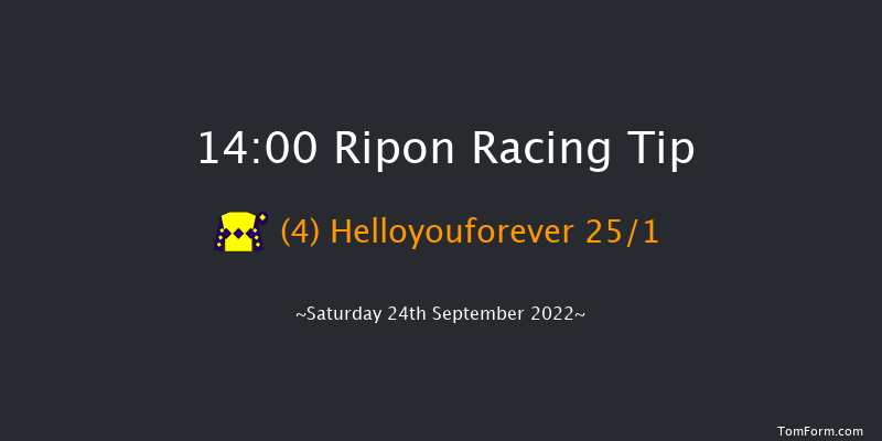 Ripon 14:00 Stakes (Class 5) 6f Tue 30th Aug 2022