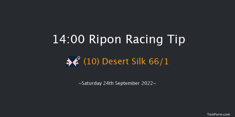 Ripon 14:00 Stakes (Class 5) 6f Tue 30th Aug 2022