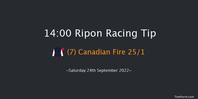 Ripon 14:00 Stakes (Class 5) 6f Tue 30th Aug 2022