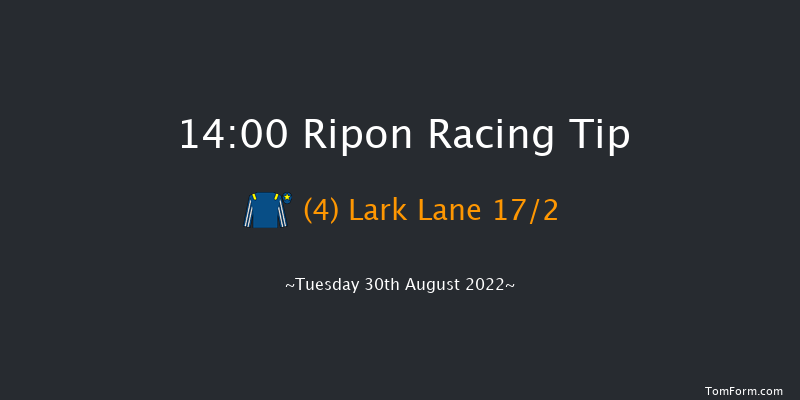 Ripon 14:00 Seller (Class 6) 10f Mon 29th Aug 2022