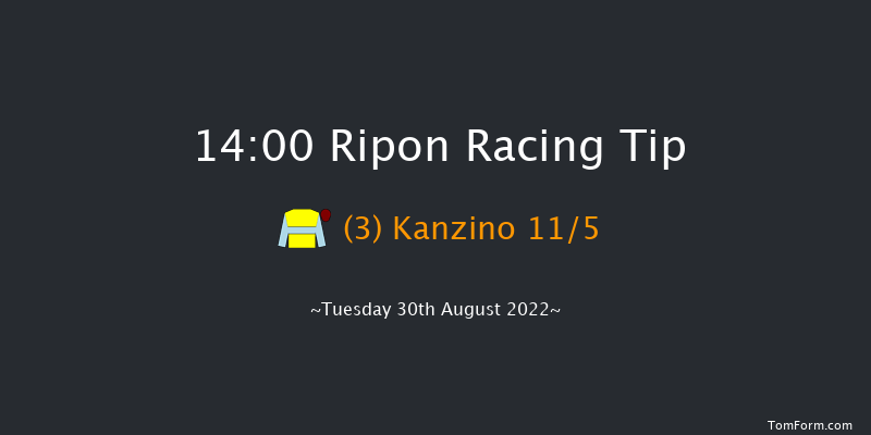 Ripon 14:00 Seller (Class 6) 10f Mon 29th Aug 2022