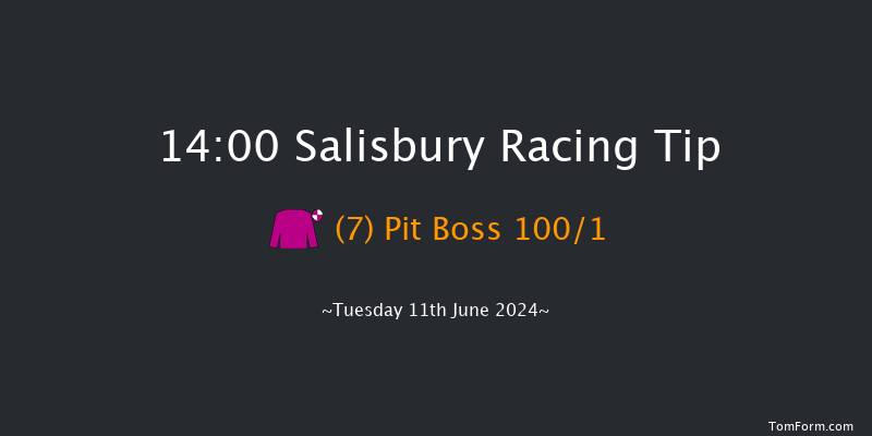 Salisbury  14:00 Stakes (Class 4) 6f Sat 25th May 2024