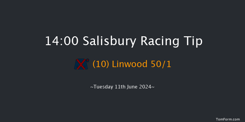 Salisbury  14:00 Stakes (Class 4) 6f Sat 25th May 2024