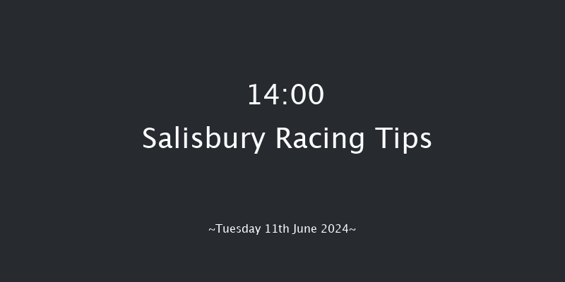 Salisbury  14:00 Stakes (Class 4) 6f Sat 25th May 2024