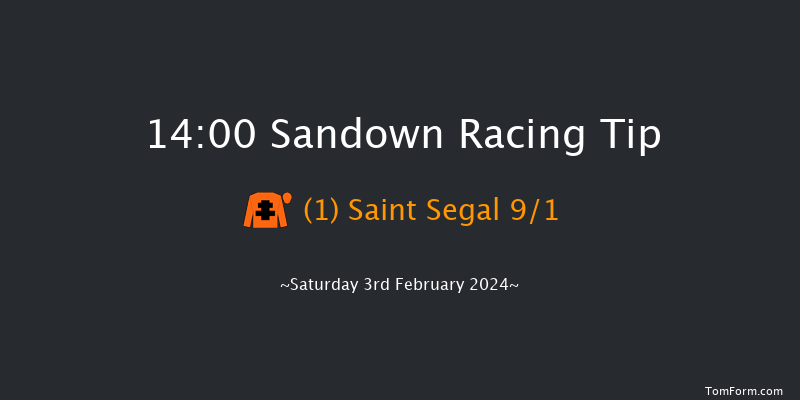 Sandown  14:00 Handicap Chase (Class 2) 15f Fri 26th Jan 2024