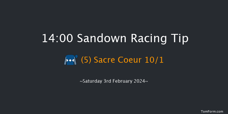 Sandown  14:00 Handicap Chase (Class 2) 15f Fri 26th Jan 2024