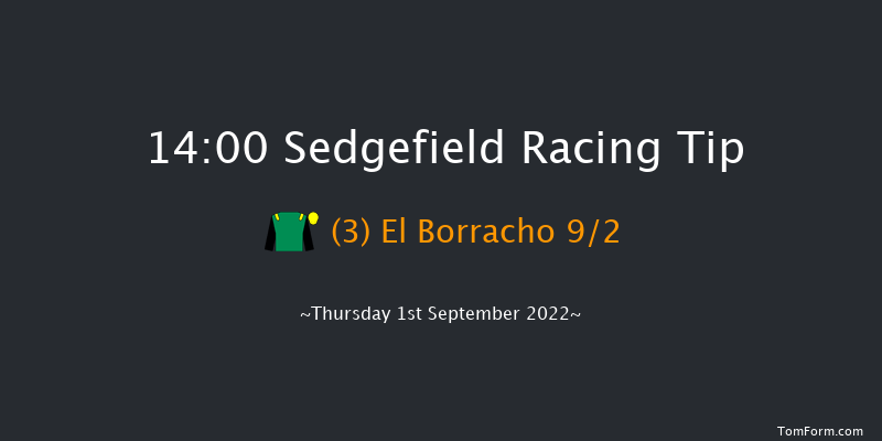 Sedgefield 14:00 Handicap Hurdle (Class 3) 17f Wed 24th Aug 2022