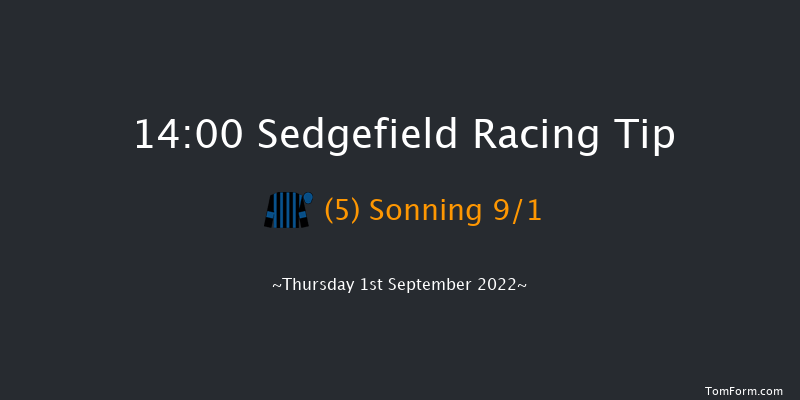 Sedgefield 14:00 Handicap Hurdle (Class 3) 17f Wed 24th Aug 2022