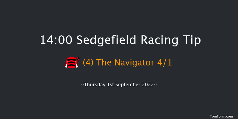 Sedgefield 14:00 Handicap Hurdle (Class 3) 17f Wed 24th Aug 2022