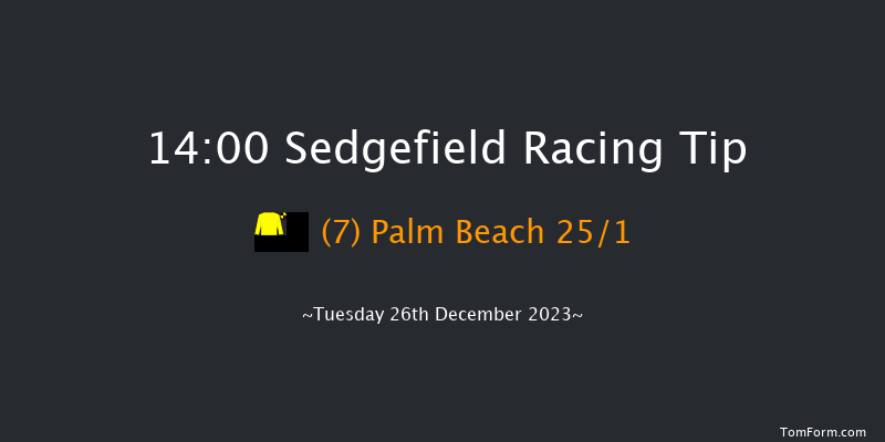 Sedgefield 14:00 Handicap Hurdle (Class 4) 20f Fri 8th Dec 2023