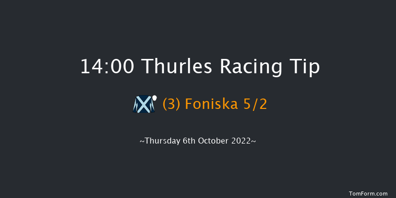 Thurles 14:00 Maiden 8f Sat 19th Mar 2022