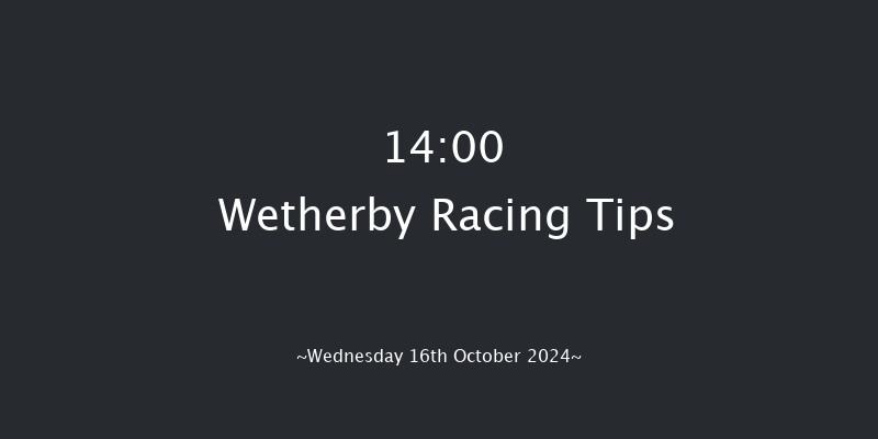 Wetherby  14:00 Novices Hurdle (Class 4) 20f  Tue 11th Jun 2024