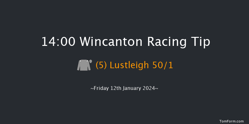 Wincanton 14:00 Handicap Chase (Class 5) 20f Sat 6th Jan 2024