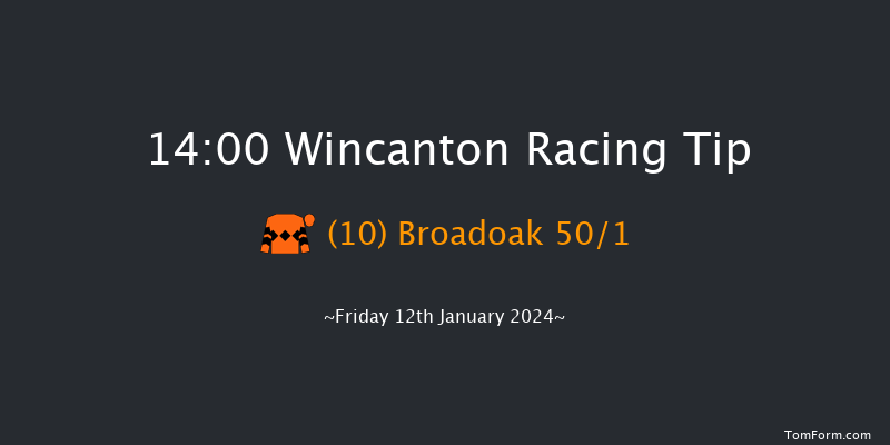 Wincanton 14:00 Handicap Chase (Class 5) 20f Sat 6th Jan 2024