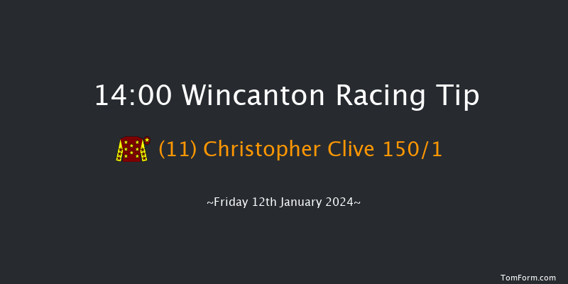 Wincanton 14:00 Handicap Chase (Class 5) 20f Sat 6th Jan 2024