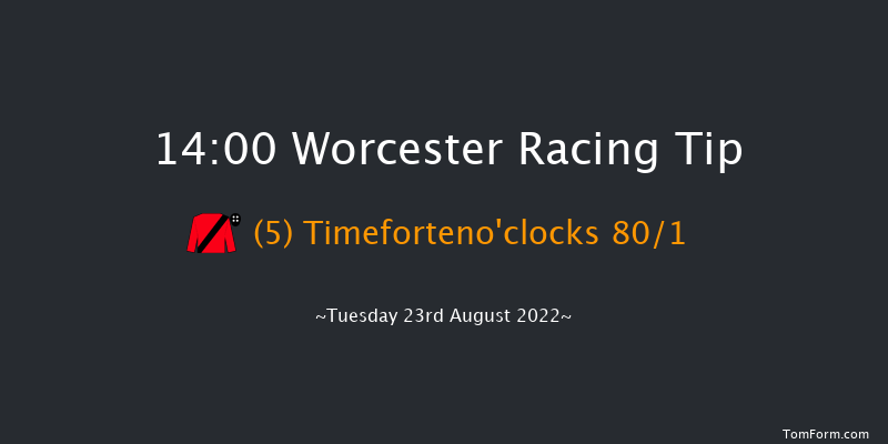 Worcester 14:00 NH Flat Race (Class 5) 16f Wed 17th Aug 2022