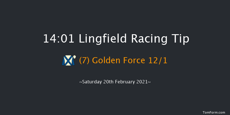 Bombardier British-Hopped Amber Beer Handicap Lingfield 14:01 Handicap (Class 3) 7f Fri 19th Feb 2021