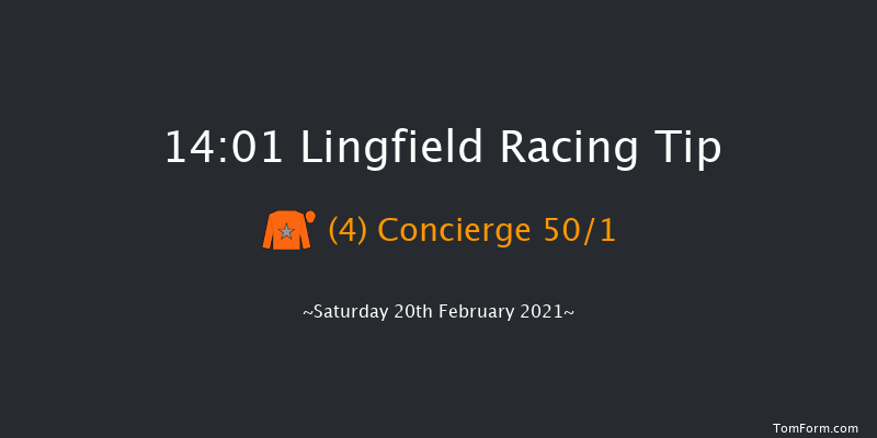 Bombardier British-Hopped Amber Beer Handicap Lingfield 14:01 Handicap (Class 3) 7f Fri 19th Feb 2021