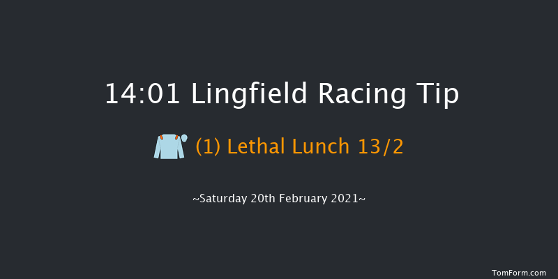 Bombardier British-Hopped Amber Beer Handicap Lingfield 14:01 Handicap (Class 3) 7f Fri 19th Feb 2021