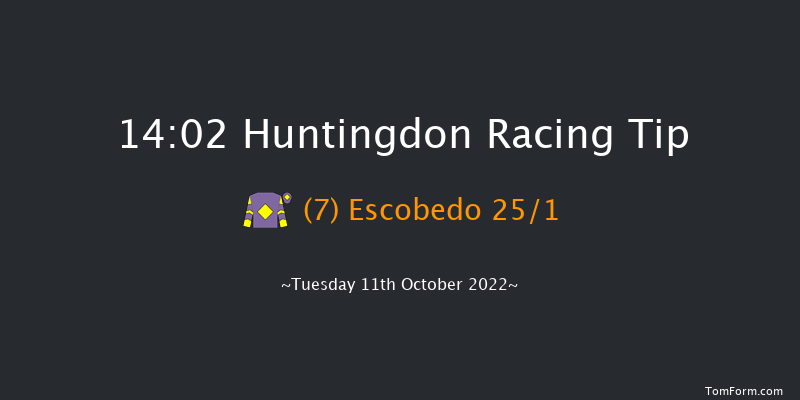 Huntingdon 14:02 Novices Hurdle (Class 4) 16f Fri 3rd Jun 2022